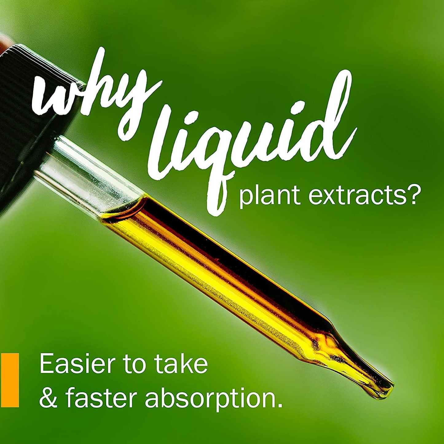 Dong Quai Tincture Liquid Extract -AKA Female Ginseng - (PCOS, PMS & Hormones)