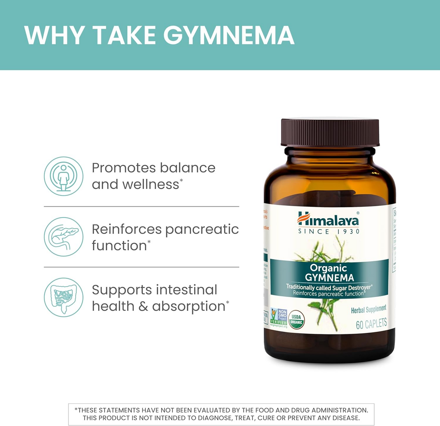 Gymnema Sylvestre - (PCOS, Blood Sugar, Weight, Cravings & PMS)