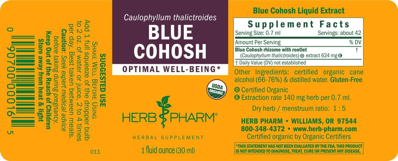Blue Cohosh Tincture Liquid Extract - (PCOS & Reproductive Health)