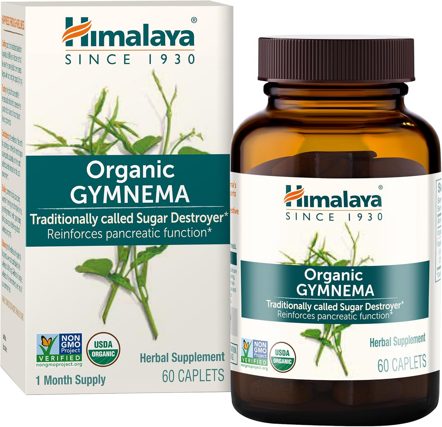 Gymnema Sylvestre - (PCOS, Blood Sugar, Weight, Cravings & PMS)