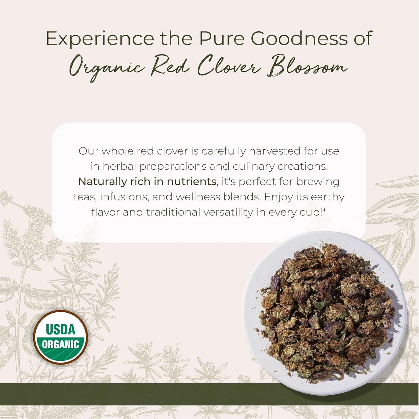 Red Clover - (PCOS, PMS, Hormones & Menopause)