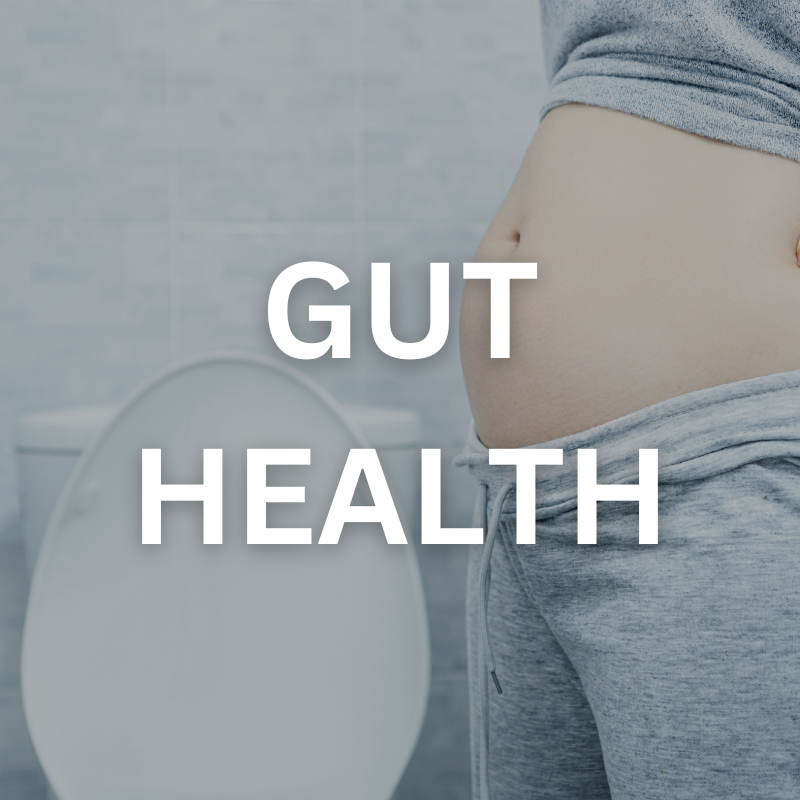 Gut Health Guide