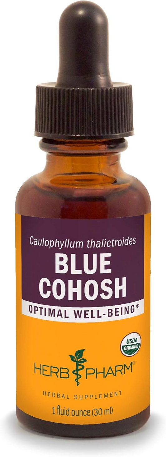 Blue Cohosh Tincture Liquid Extract - (PCOS & Reproductive Health)