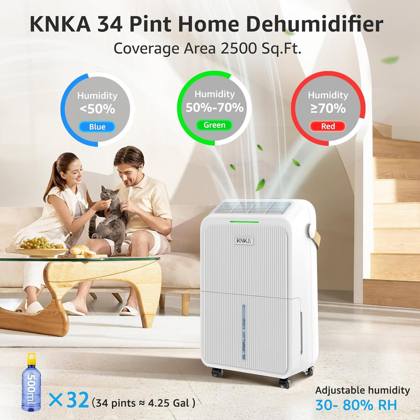 Dehumidifier (MOLD & MOISTURE)